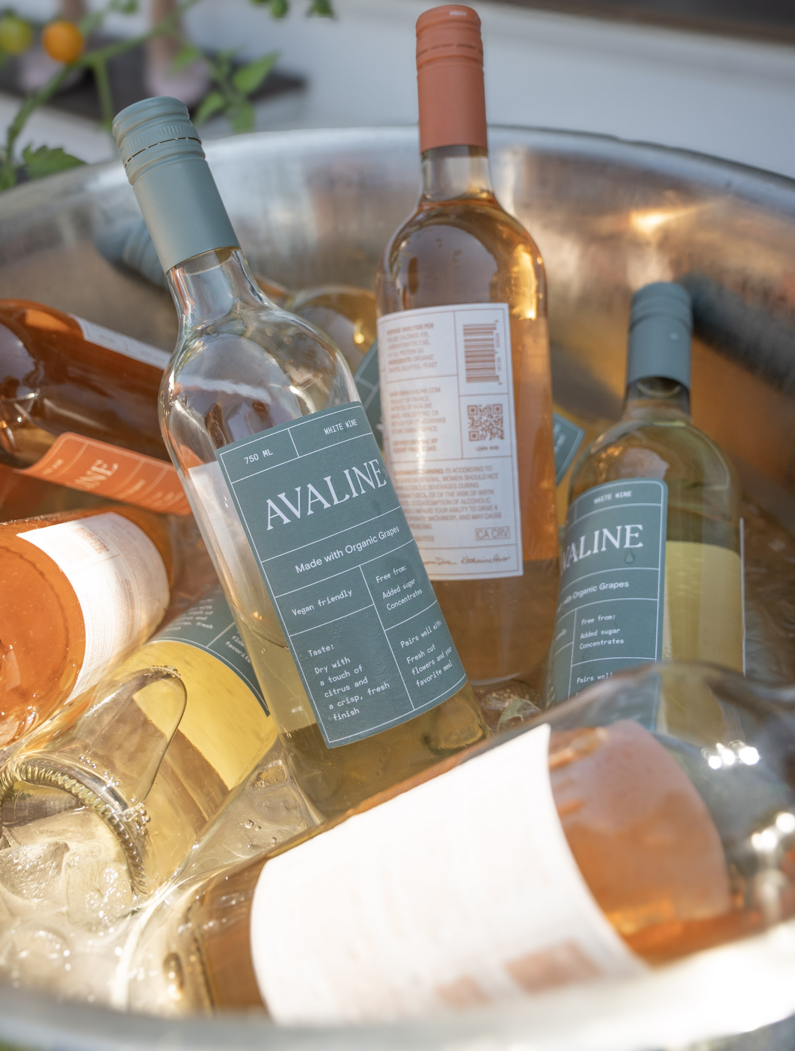 Sakara Luncheon July 2025